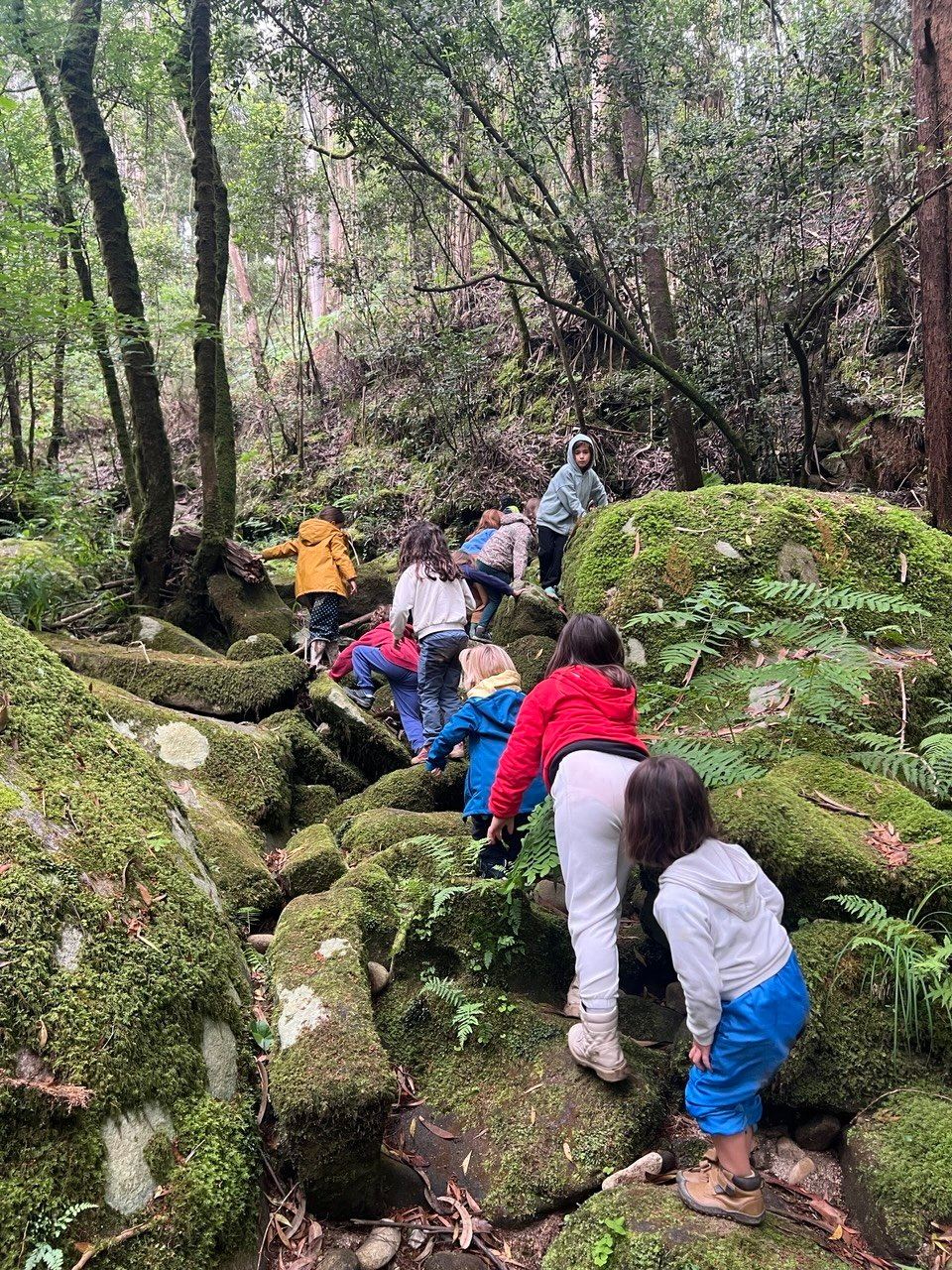 Children walking up mossy rocks in the forest