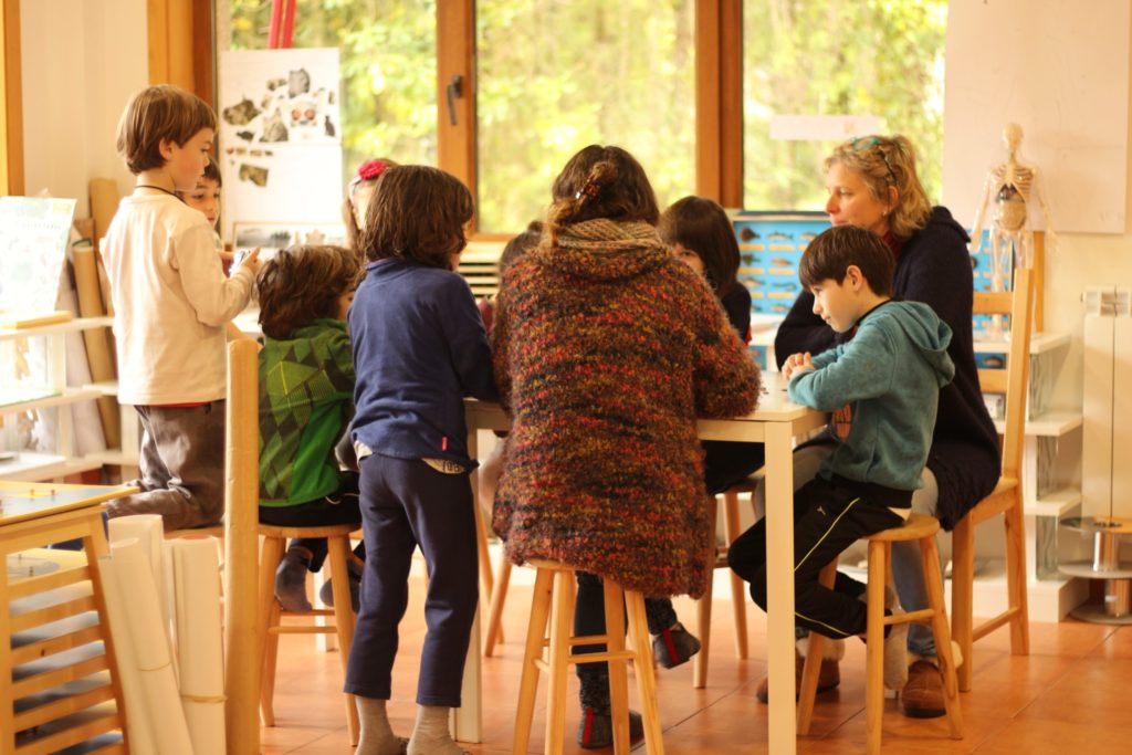 Students engaged in collaborative learning