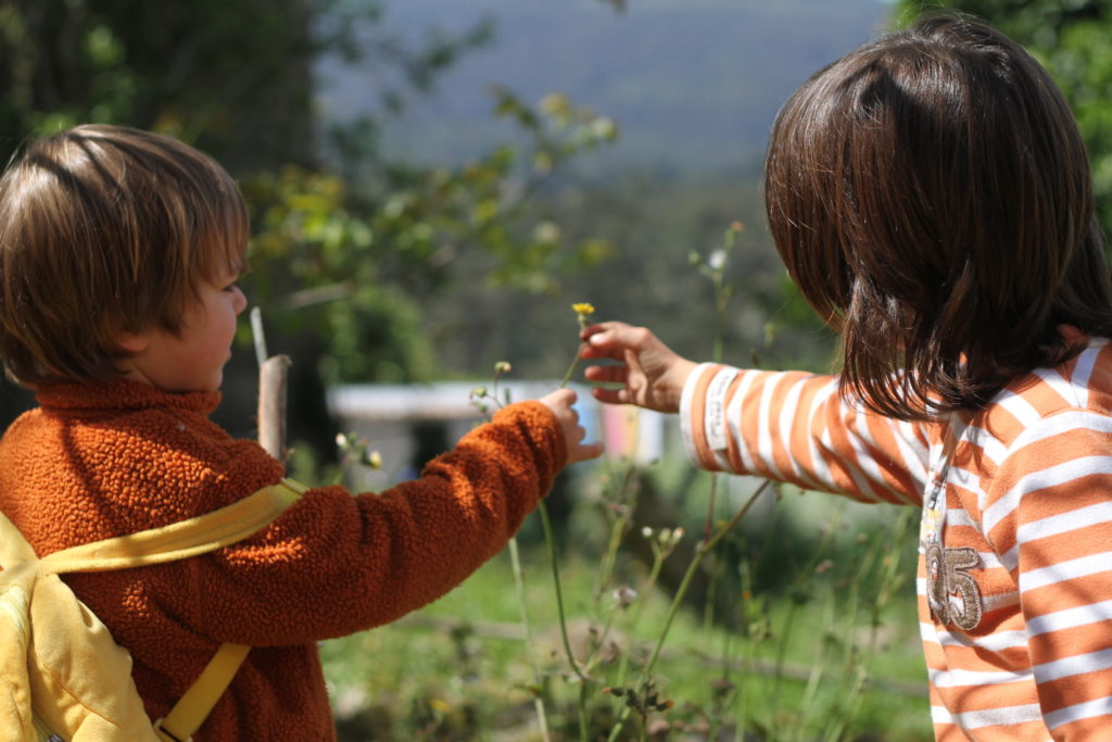 Children exploring nature